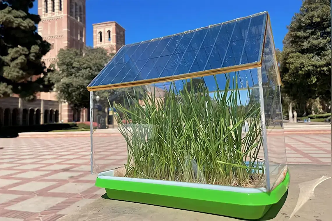 Innovadoras Células Solares Semitransparentes para Plantas